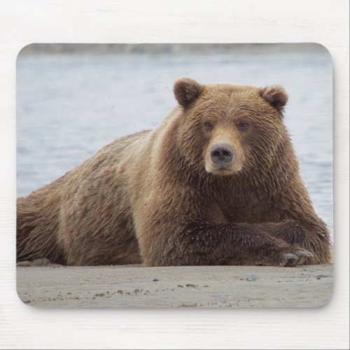 Brown Bear Mouse Pad