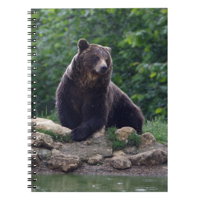 Brown bear notebook (Front)