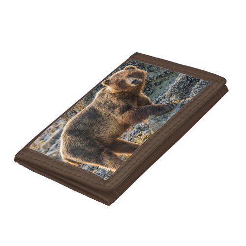 Brown bear on beach 2 trifold wallet