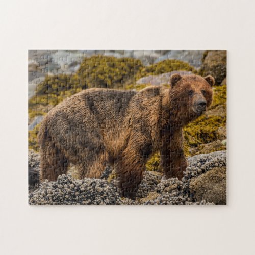 Brown bear on beach jigsaw puzzle