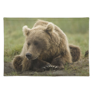 Brown bear, or Coastal Grizzly Bear, Ursus Cloth Placemat