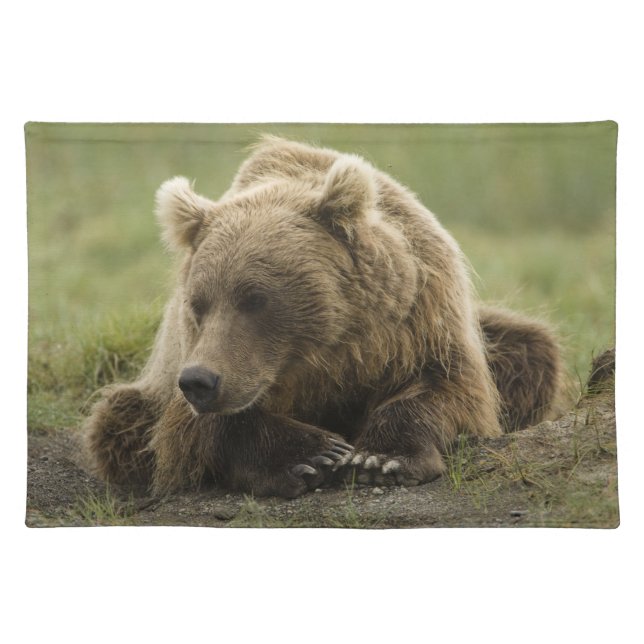 Brown bear, or Coastal Grizzly Bear, Ursus Cloth Placemat (Front)