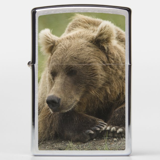 Brown bear, or Coastal Grizzly Bear, Ursus Zippo Lighter (Front)