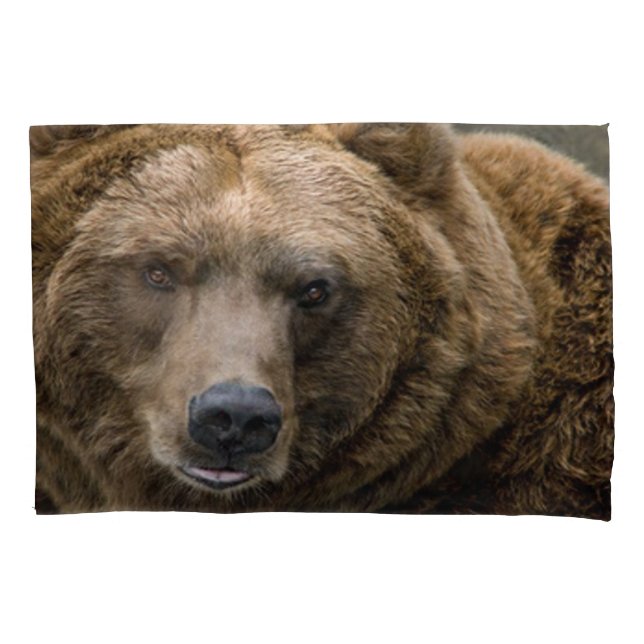 Brown Bear Pillow Case (Front)