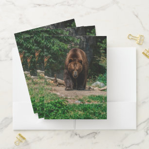 Brown Bear Pocket Folder