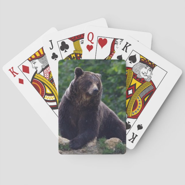 Brown bear poker cards (Back)