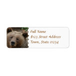 Brown Bear Return Address Label