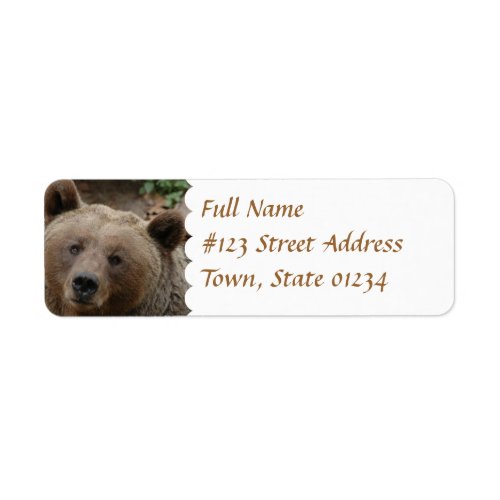 Brown Bear Return Address Label