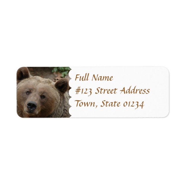 Brown Bear Return Address Label (Front)