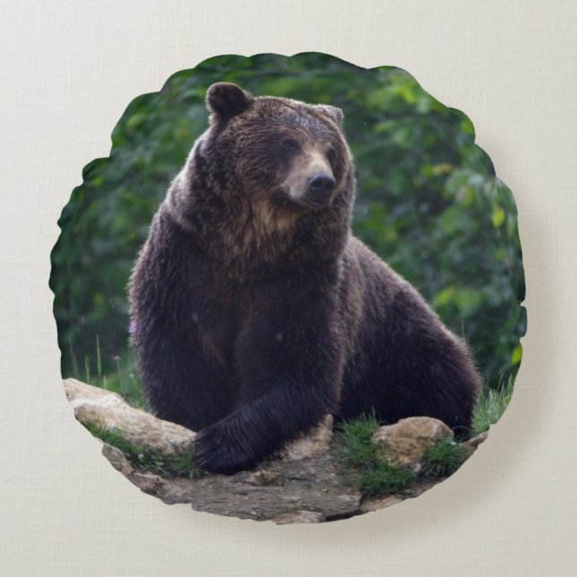 Brown bear round pillow (Front)