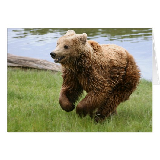 Brown Bear Running Cards (Front Horizontal)