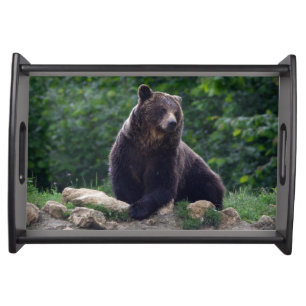 Brown bear serving tray