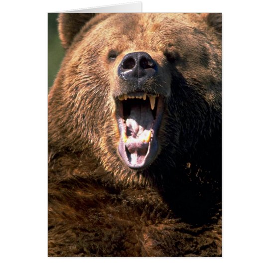 Brown Bear Showing Teeth Card
