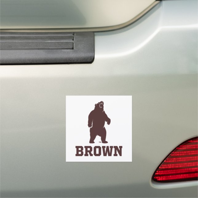 Brown Bear & Text Car Magnet (In Situ)