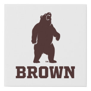 Brown Bear & Text Faux Canvas Print