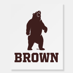 Brown Bear & Text Foam Board