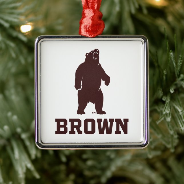 Brown Bear & Text Metal Ornament (Tree)