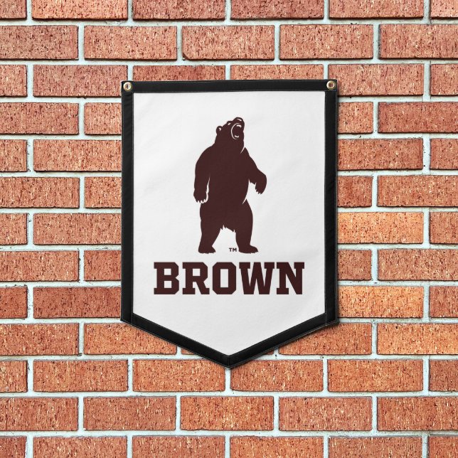 Brown Bear & Text Pennant (Insitu 1)