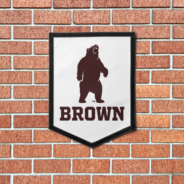 Brown Bear & Text Pennant (Insitu 1)