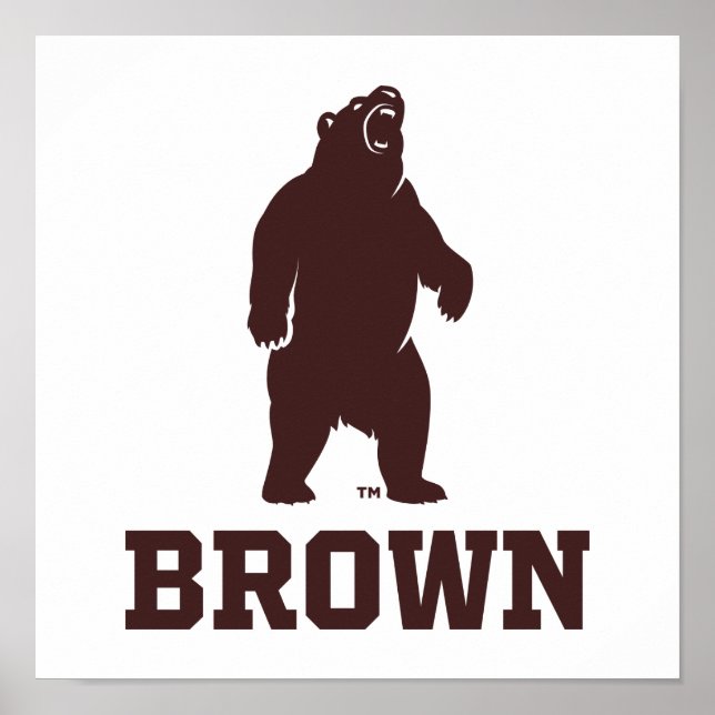 Brown Bear & Text Poster (Front)