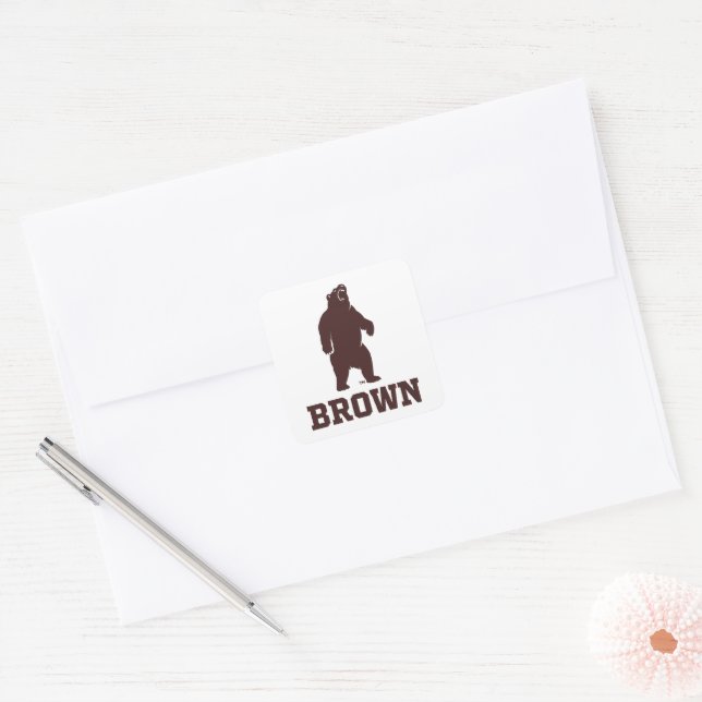 Brown Bear & Text Square Sticker (Envelope)