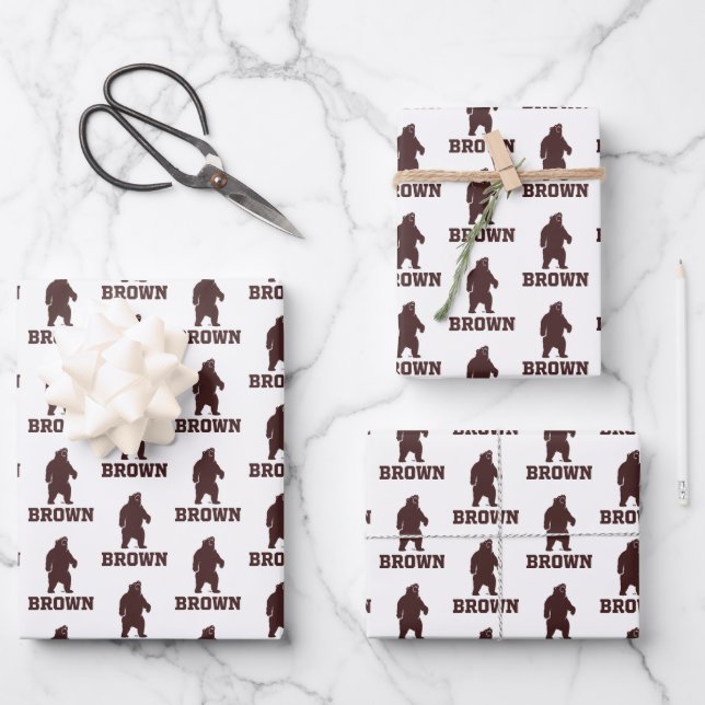 Brown Bear & Text Wrapping Paper Sheets (Front)