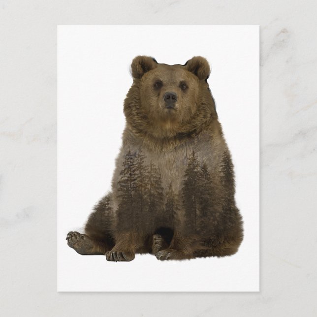 Brown Bear Trees  Double Exposure Postcard (Front)