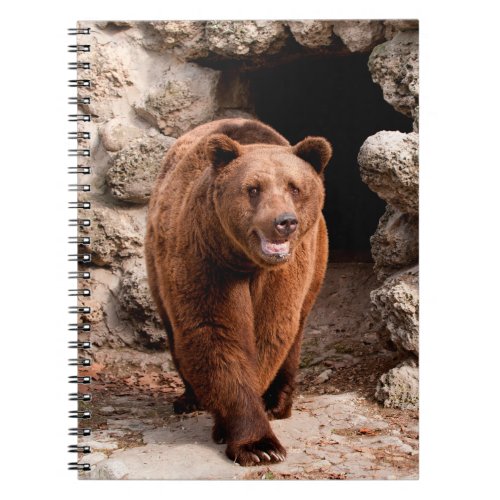 Brown bear Ursus arctos front viewbearbrownwil Notebook