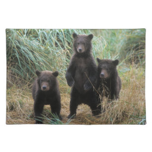 brown bear, Ursus arctos, grizzly bear, Ursus 7 2 Placemat