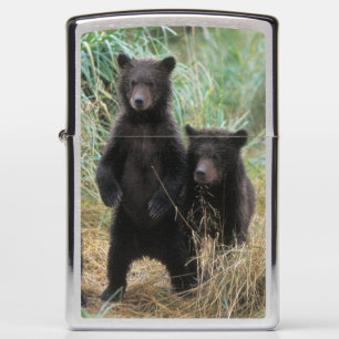 brown bear, Ursus arctos, grizzly bear, Ursus 7 2 Zippo Lighter