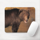 brown bear, Ursus arctos, grizzly bear, Ursus 8 Mouse Pad (With Mouse)