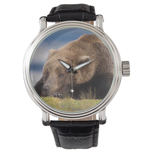 brown bear, Ursus arctos, grizzly bear, Ursus 8 Watch (Front)