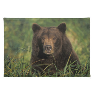 brown bear, Ursus arctos, grizzly bear, Ursus 9 Cloth Placemat