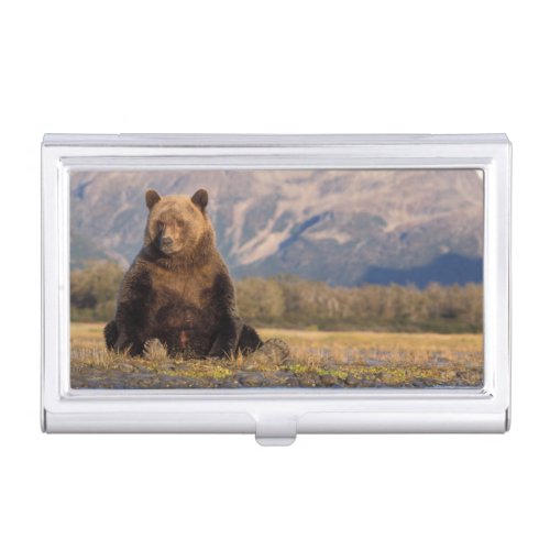 brown bear Ursus arctos grizzly bear Ursus Business Card Case