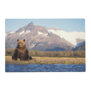 brown bear, Ursus arctos, grizzly bear, Ursus Placemat