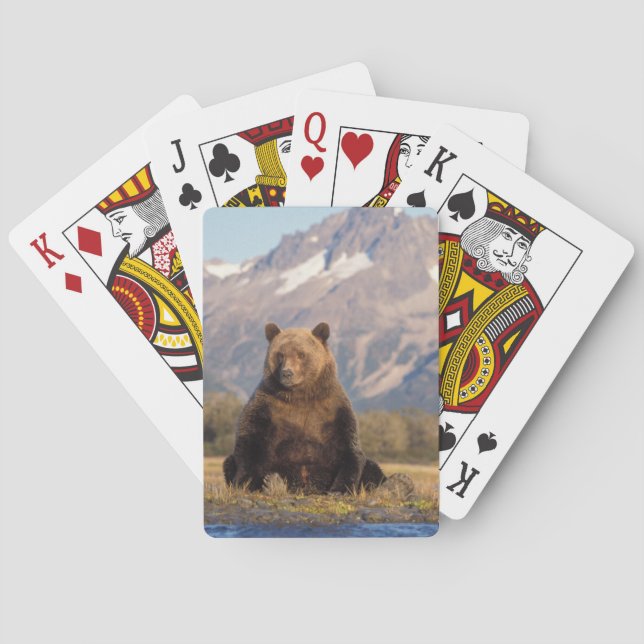brown bear, Ursus arctos, grizzly bear, Ursus Poker Cards (Back)