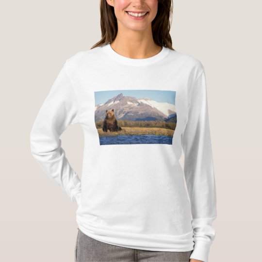 brown bear, Ursus arctos, grizzly bear, Ursus T-Shirt