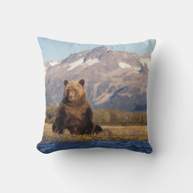 brown bear, Ursus arctos, grizzly bear, Ursus Throw Pillow (Front)