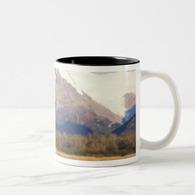 brown bear, Ursus arctos, grizzly bear, Ursus Two-Tone Coffee Mug (Right)