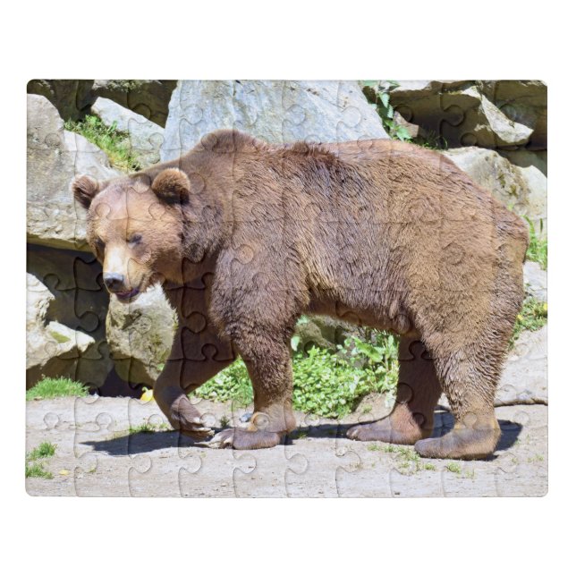 Brown bear walking postcard jigsaw puzzle (Puzzle Horizontal)