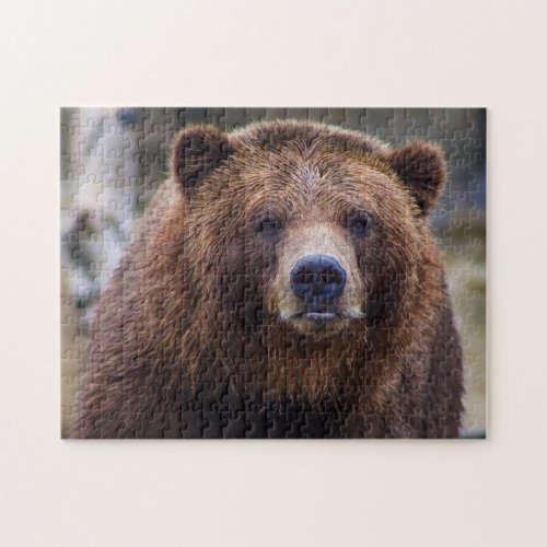 Brown Bear Wild Grizzly Forest Wood Nature Scenery Jigsaw Puzzle