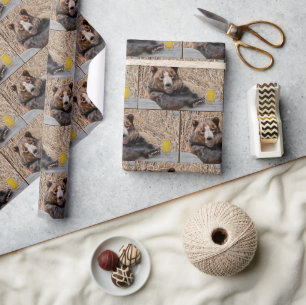 Brown Bear with Beer Wrapping Paper