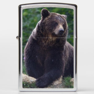 Brown bear zippo lighter