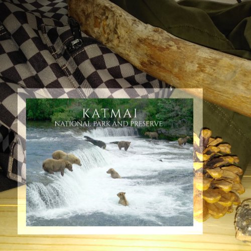 Brown Bears Fishng for Salmon Katmai NPP Postcard