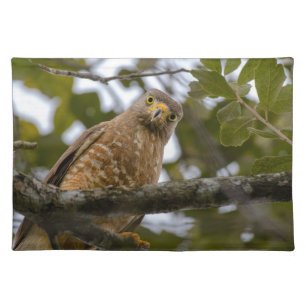 Brown Bird, Roadside Hawk Photography Cloth Placemat
