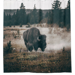 BROWN BISON ON BROWN GRASS FIELD DURING DAYTIME SHOWER CURTAIN