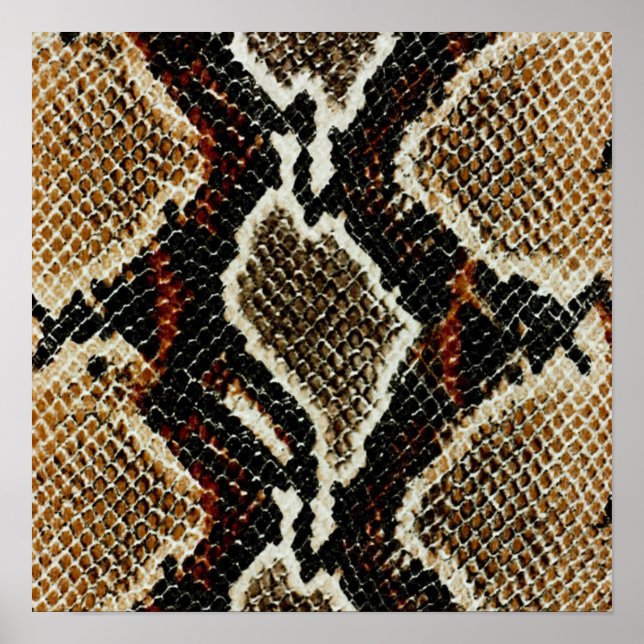 brown black red animal print snake skin (Front)