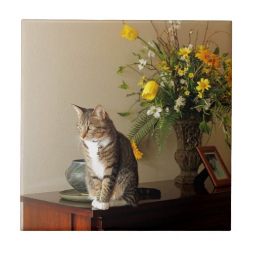 Brown black Tabby cat Sitting on piano flowers Tile