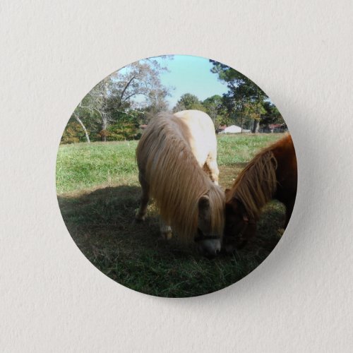 Brown Blond Miniature HorsesTwo Little Ponies Button