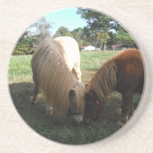 Brown Blond Miniature HorsesTwo Little Ponies Sandstone Coaster